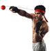 ActivPulse™ Boxing Reflex Ball - PlanetShopper