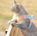 ⚡Last Day Promotion 50% OFF⚡ PawPlanet™ - Luminous Cat Vest Harness and Leash Set - PlanetShopper
