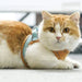 ⚡Last Day Promotion 50% OFF⚡ PawPlanet™ - Luminous Cat Vest Harness and Leash Set - PlanetShopper