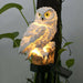 Solar Owl Lamp - PlanetShopper